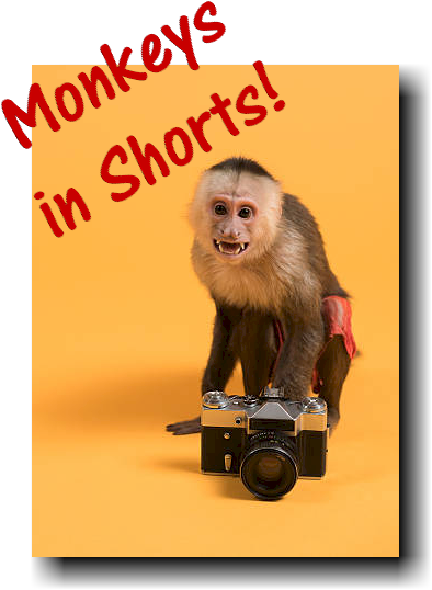 Click to learn more...